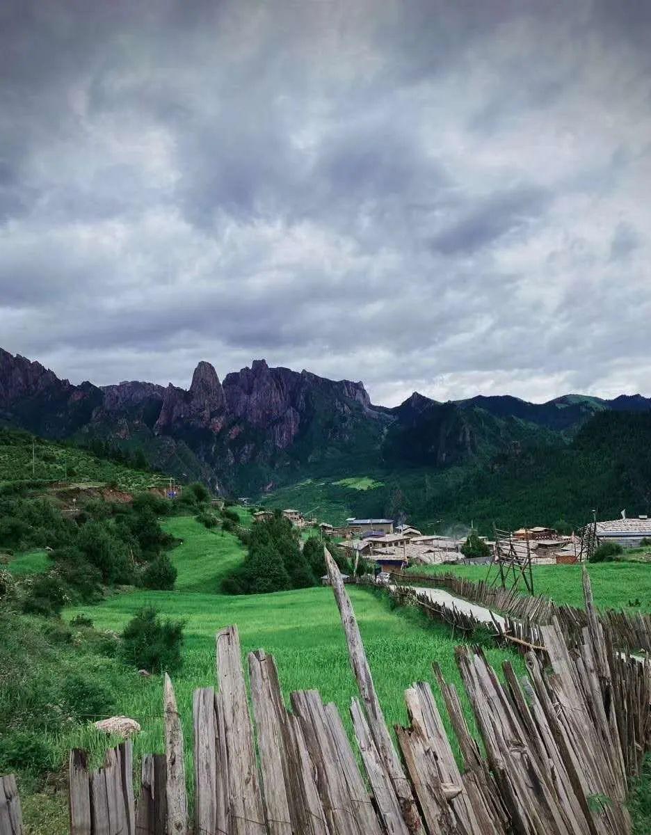 逃离阴森的岛屿